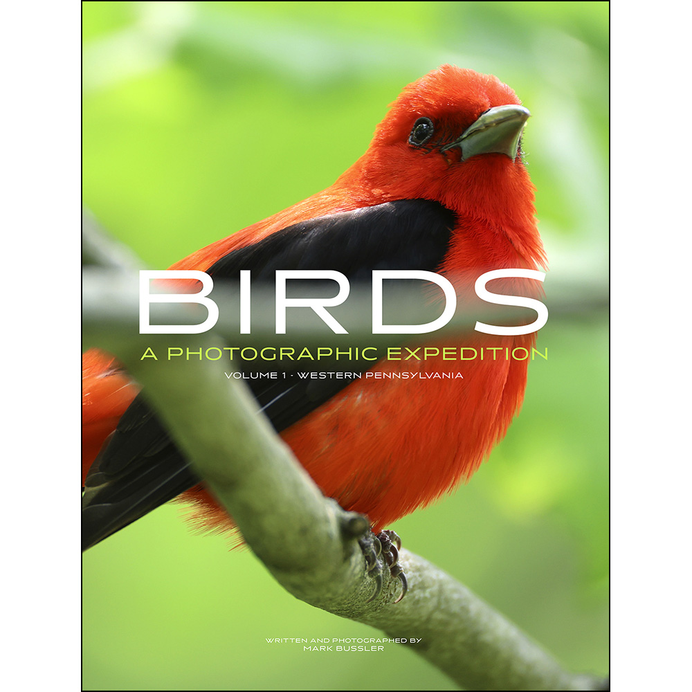 Birds: A Photographic Expedition: Volume 1 - Western Pennsylvania